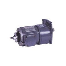 CPG 立式附三相鋁/鐵殼附DC24V送電剎車器系列