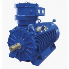 MarelliMotori 電機D5H系列