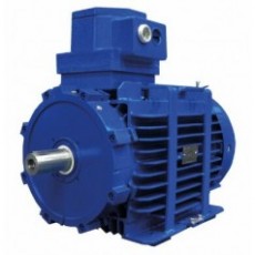MarelliMotori 電機D5Y-D6Y-D5V系列