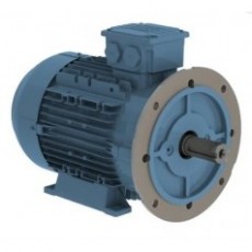 watt drive 低壓電機W20 0.25 kW系列