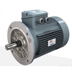 MOTOVARIO IEC鋁制電機AERV系列