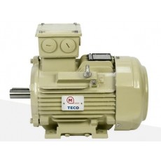 MOTOVARIO 鑄鐵電機 ATEX系列