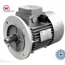 MOTOVARIO 三相及三相剎車電機M系列