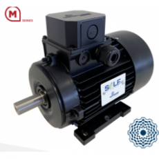 MOTOVARIO 自啟動同步電機M系列