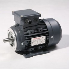 TECHTOP 鋁殼三相異步電動(dòng)機(jī)MS/MS2 系列