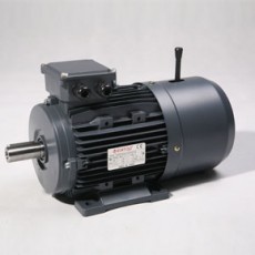 TECHTOP 異步三相制動(dòng)電動(dòng)機(jī)MSB 系列